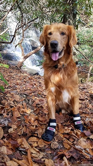 bark brite dog boots