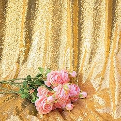 JYFLZQ Gold Sequin Backdrop Curtain 10x8ft(WxH) 1