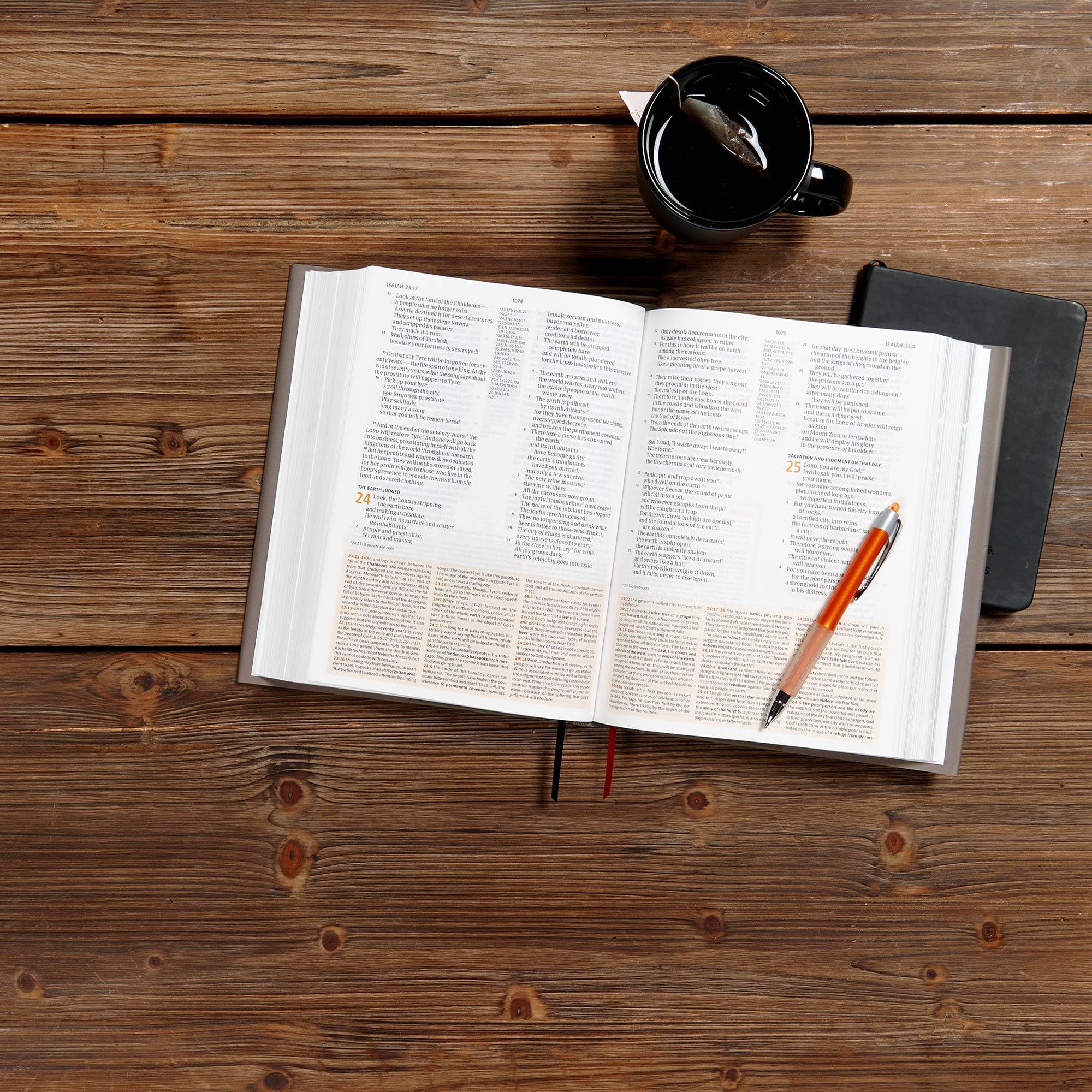 CSB Study Bible, Hardcover, Red Letter, Study Notes and Commentary, Illustrations, Articles, Word Studies, Outlines, Timelines, Easy-to-Read Bible Serif Type CSB Study Bible, Hardcover, Red Letter, Study Notes and Commentary, Illustrations, Articles, Word Studies, Outlines, Timelines, Easy-to-Read Bible Serif Type Hardcover Kindle