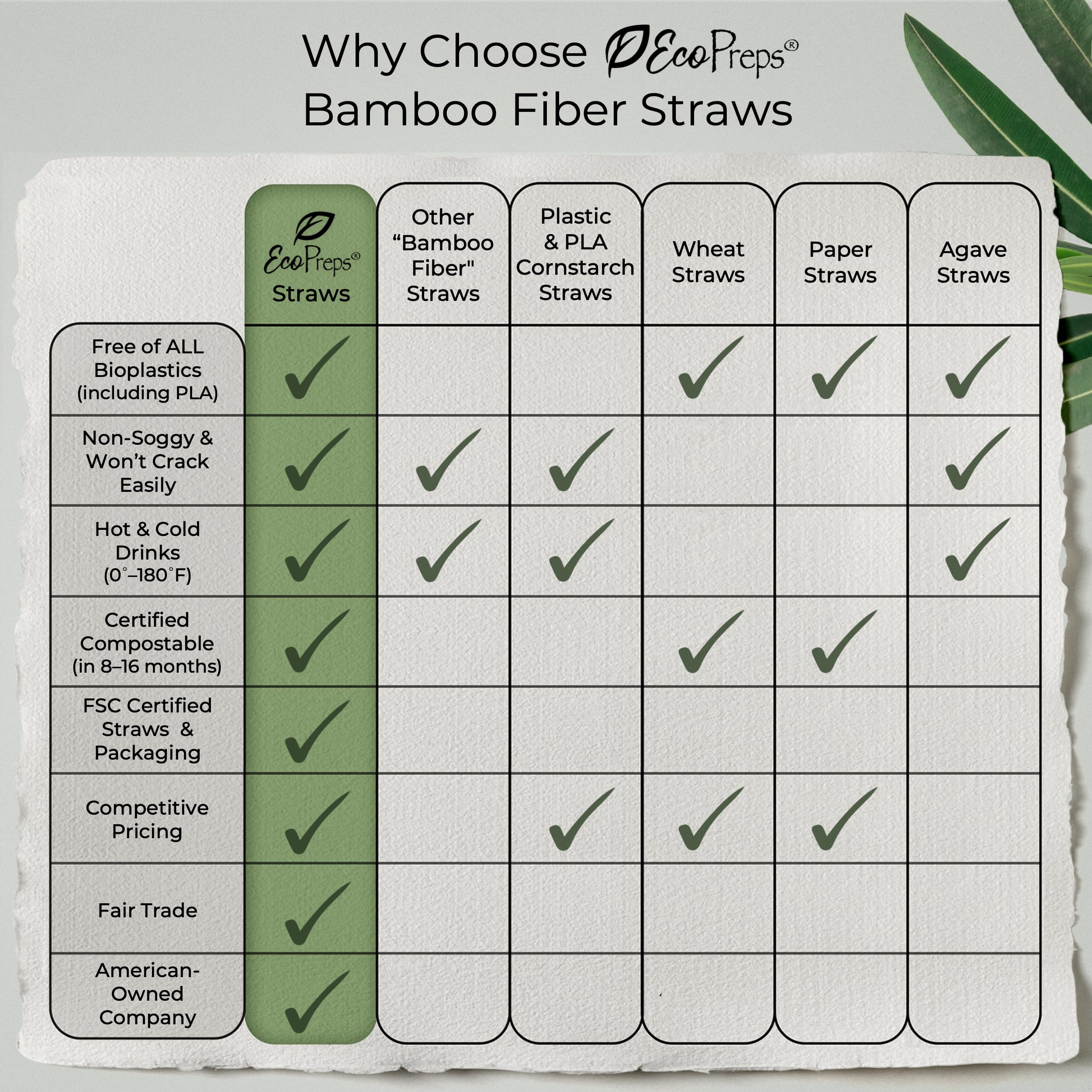 EcoPreps 10” Biodegradable Bamboo Fiber Straws, Extra-Long Straw | 100 Count, 100% Compostable, Plastic-Free, Eco-Friendly Drinking Straw | Plant Fiber, Party Jumbo Disposable Straws, 10 Inches Tall - Image 7