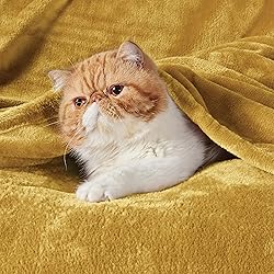 Bedsure Bedding Fleece Blanket for Girls and Boys