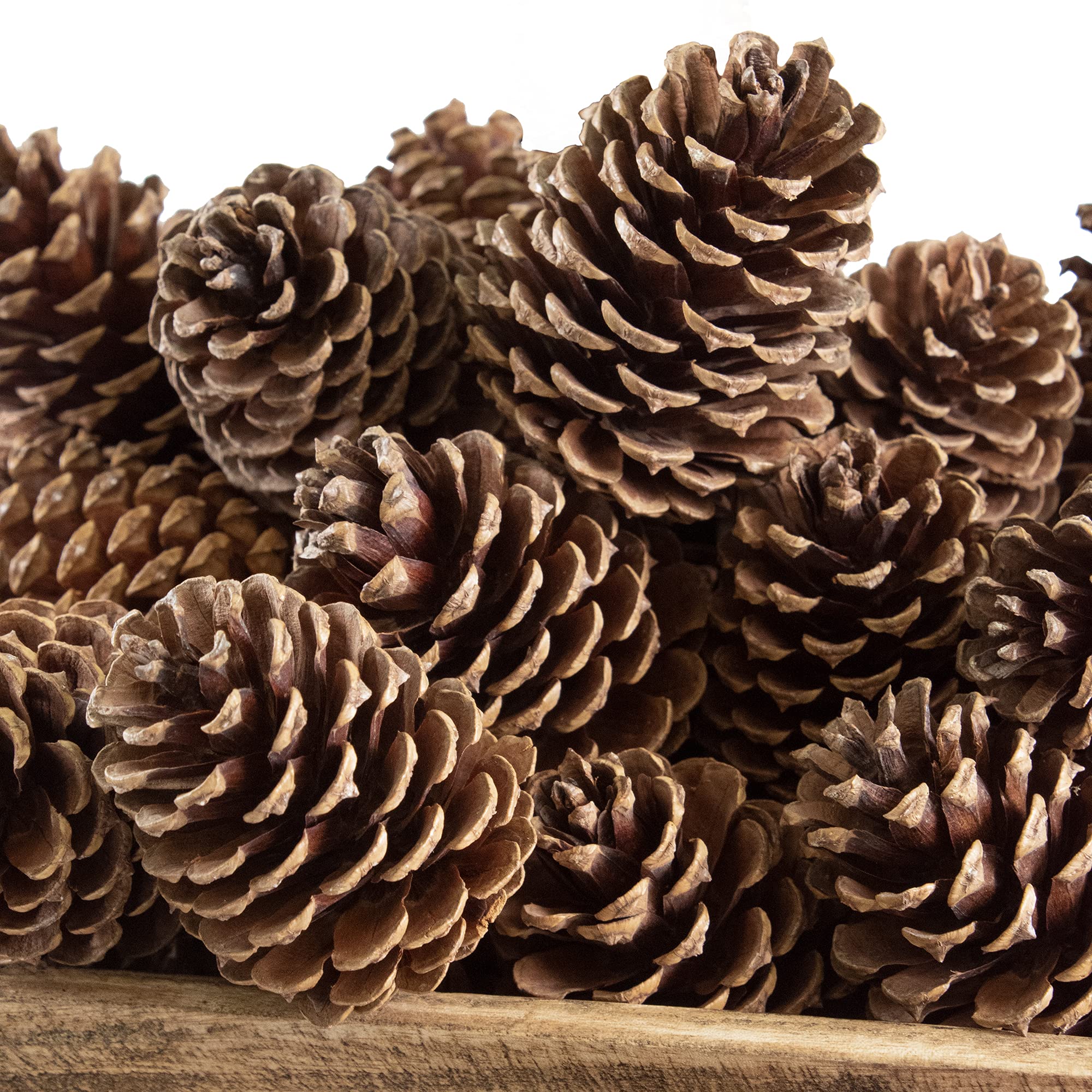 ANDALUCA Pinecone Vase & Bowl Fillers | Scented Pine Cones Decor (Natural)
