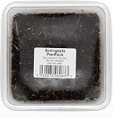 livefoods4u Live Springtails for Terrariums 1 Tub Bioactive Clean Up Crew view 2