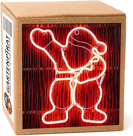 Neon Light Tube Figures with LED Illuminated for Christmas Outdoor