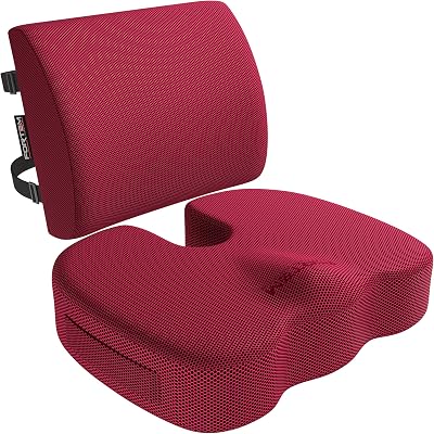FORTEM Lumbar Support Pillow & XL Memory Foam Seat Cushion