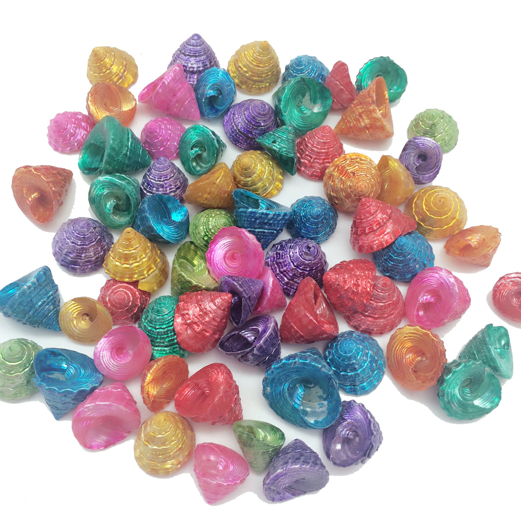 PEPPERLONELY 50PC Dyed Assorted Colors Small Pearl Top Shells, Trochus Sea Shells, 3/4 Inch ~ 1 Inch