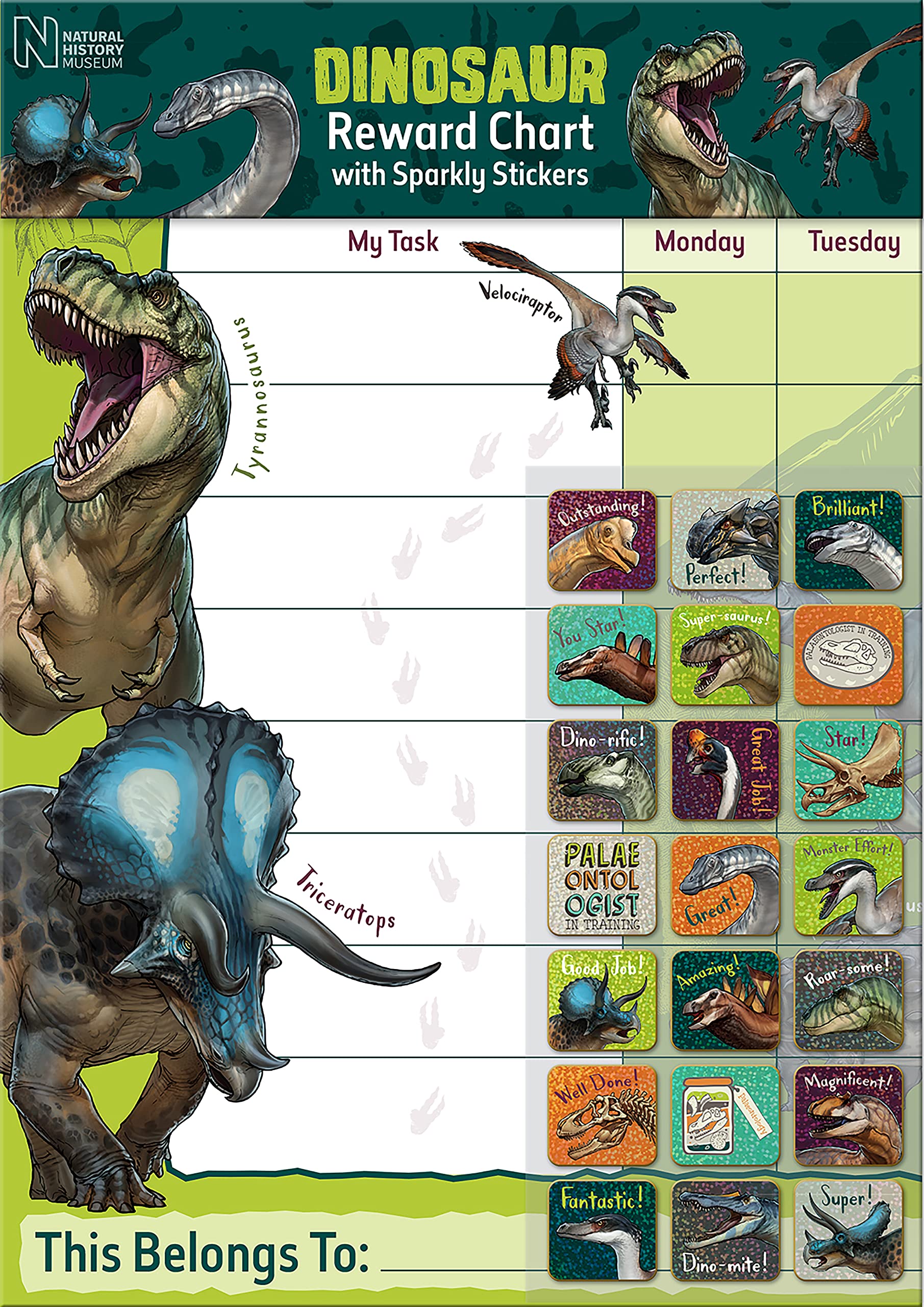 Paper Projects Natural History Museum Dinosaurs Reward Chart Includes 56 Sparkly Stickers, Chart is Wipe-Clean