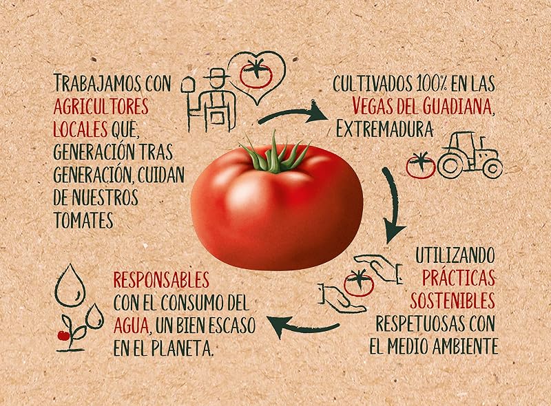 Tomate Frito Estilo Casero Brik pack 12x350g — foto 7 de 7