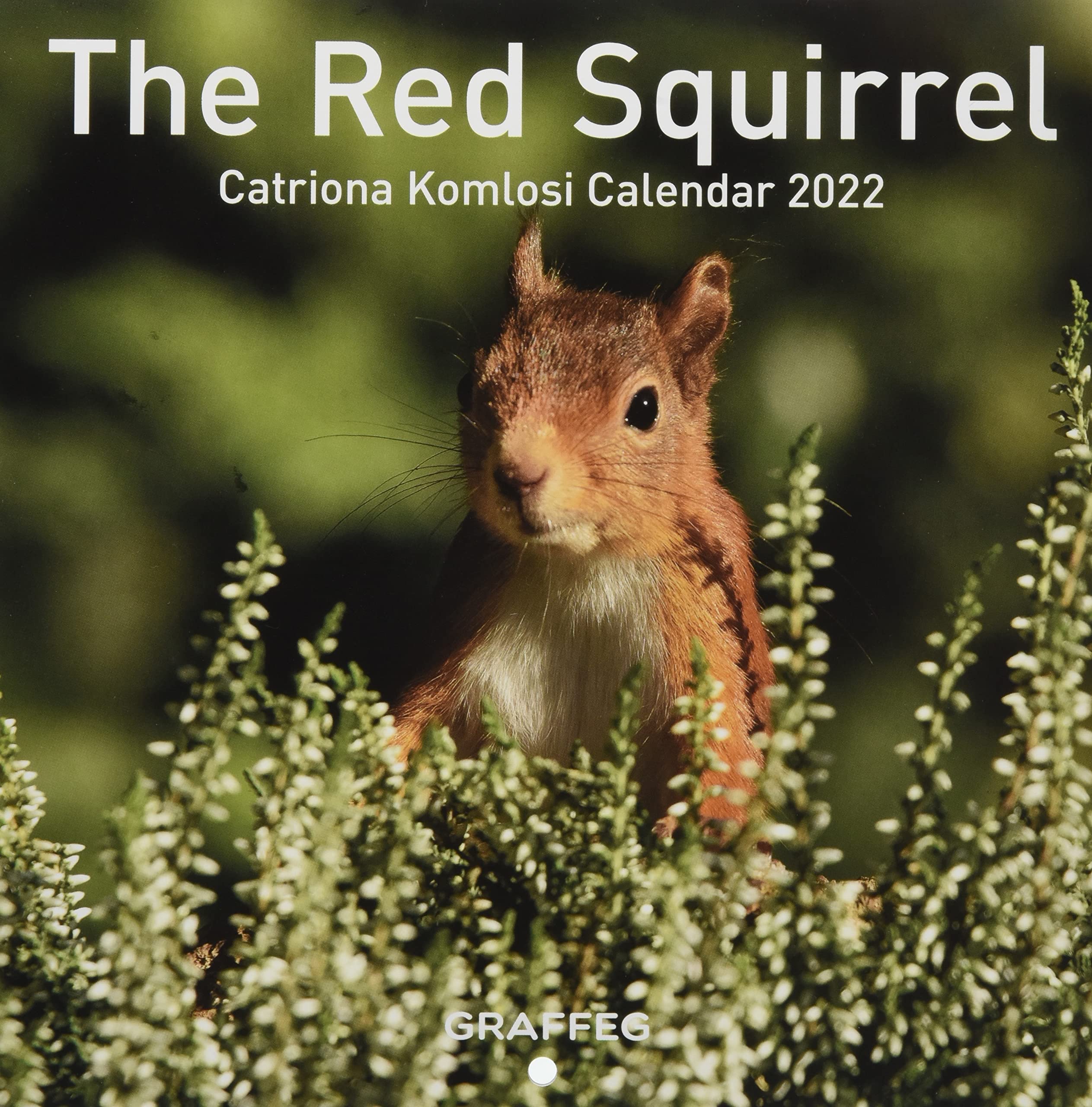2022 Squirrel Calendar The Red Squirrel Calendar 2022: 9781802580266: Amazon.com: Books