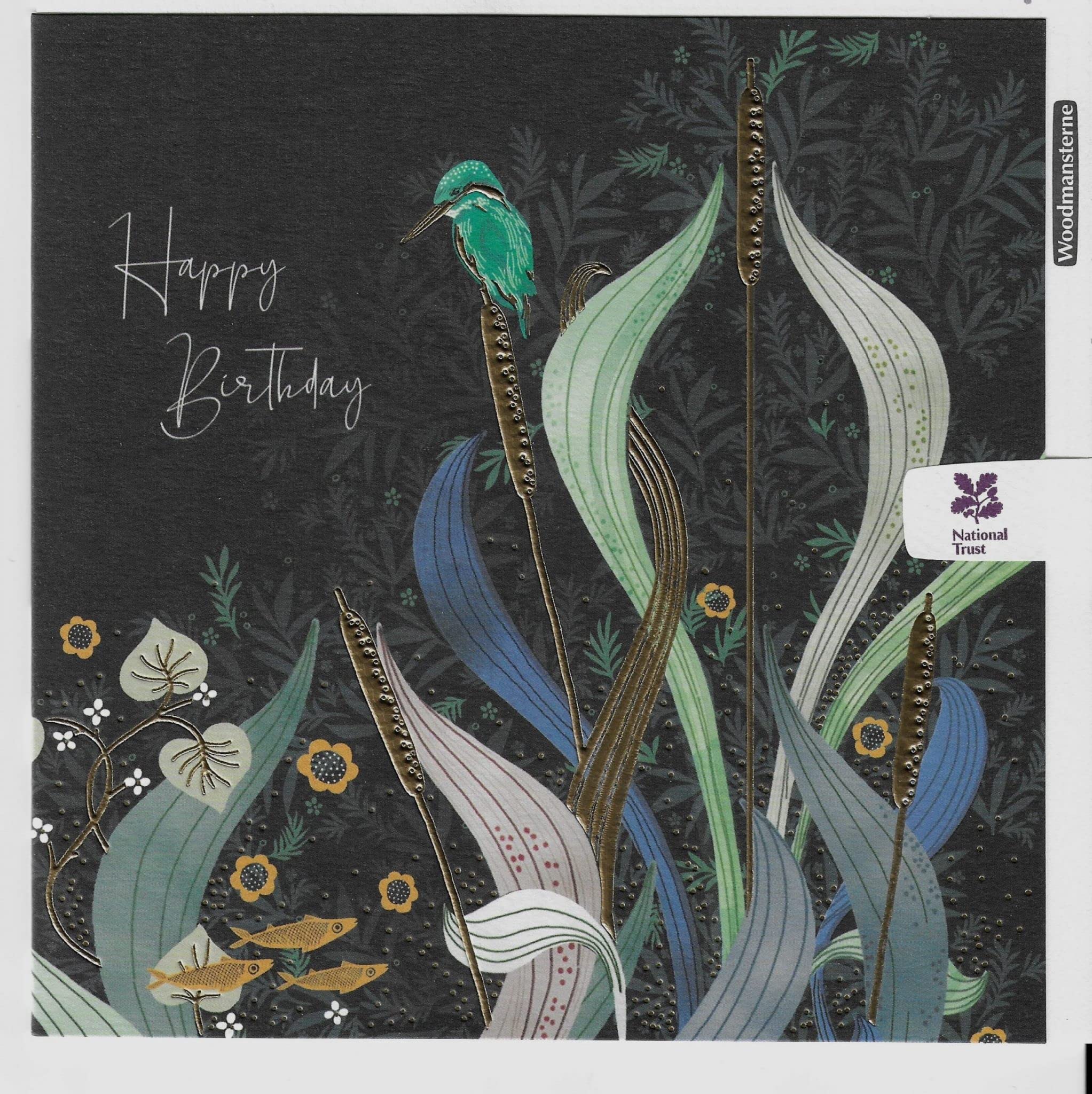 Birthday Card - 'Gone Fishing' - National Trust Harmony Range - 462580