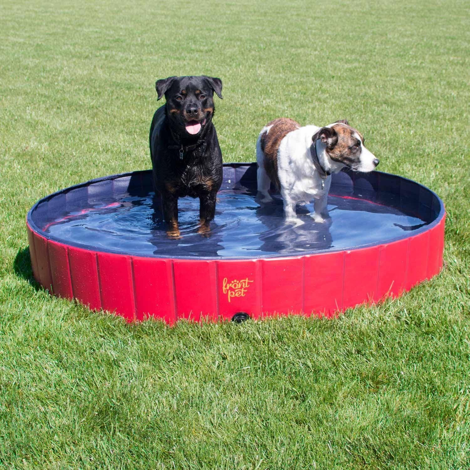 extra large dog bath tub