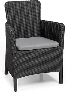 Keter - Sillón de jardín exterior Trenton con cojín incluido, Color