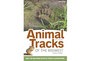 Animal Tracks of the Midwest Field Guide: Easy-to-Use Guide with 55 Track Illustrations