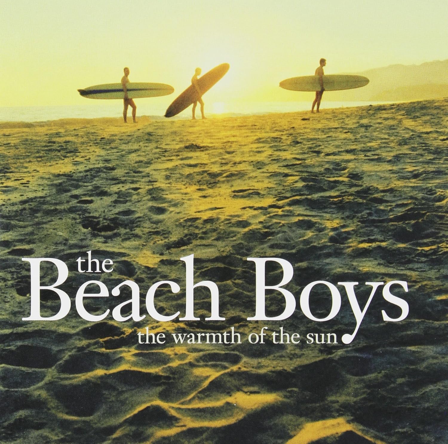 Beach Boys - Warmth Of The Sun (2007) [gnodde]