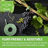 VELCRO Brand ONE-WRAP Plant Ties 12mm x 5m Green Reusable Tape VEL-EC60202 view 4