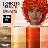 L'Oréal Paris Preference Meta-Vivids 6.403 Coral Permanent Hair Colour view 5