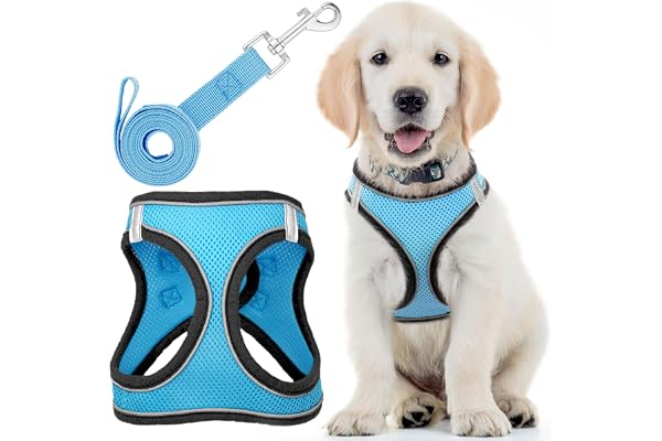 Dog Harness with Leash for Running, Hiking & Training - Small, Husky Blue - Soft Padded & No Pull Design Pet Harness with Lea