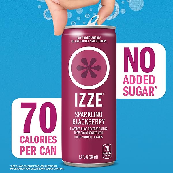 IZZE SPARKLING JUICE, 4 FLAVOR VARIETY PACK, 8.4 FL OZ (24 COUNT)