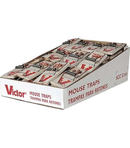 Amazon.com : Victor Metal Pedal Mouse Trap (Pack of 72) : Patio