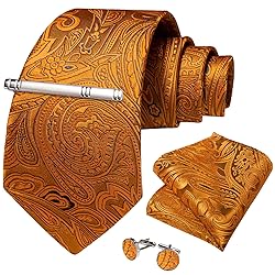 DiBanGu Silk Paisley Ties for Men Woven Necktie and