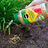Miracle-Gro All Purpose Continuous Release Plant Food 1 kg Green Brown view 6