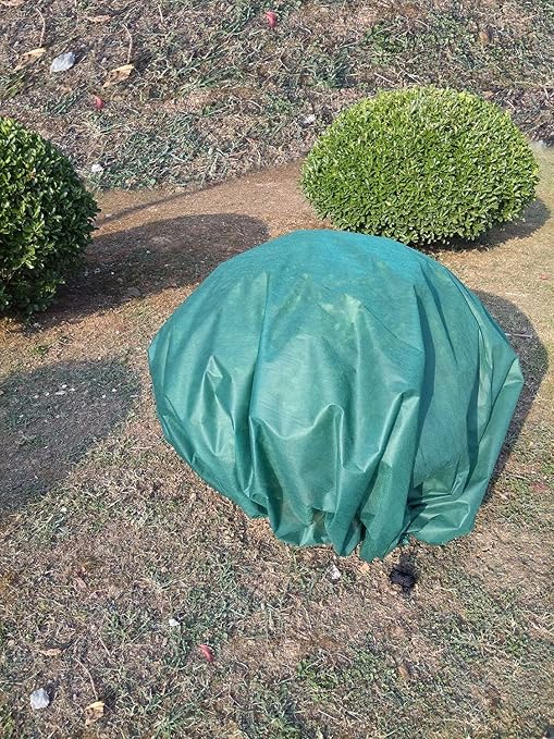 Plantas – Saco protector para invierno Fieltro: Amazon.es: Jardín