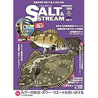 SALT&STREAM VOL.17 (メディアボーイMOOK)