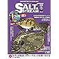 SALT&STREAM VOL.17 (メディアボーイMOOK)