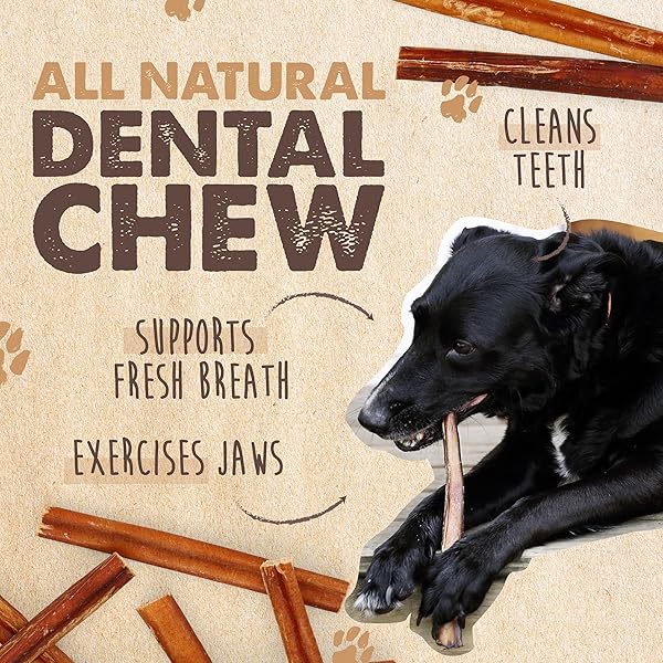 MIGHTY PAW NATURALS BULLY STICKS FOR SMALL & MEDIUM DOGS – GRASS FED BEEF CHEWS. BULLY STICKS FOR LARGE DOGS. LOWER ODOR STICK TREAT. SINGLE INGREDIENT (6″ – 10 PACK)