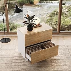 ModernMate 2 Drawer Lateral File Cabinet, Filing