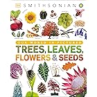 Trees, Leaves, Flowers and Seeds: A Visual Encyclopedia of the Plant Kingdom (DK Our World in Pictures)