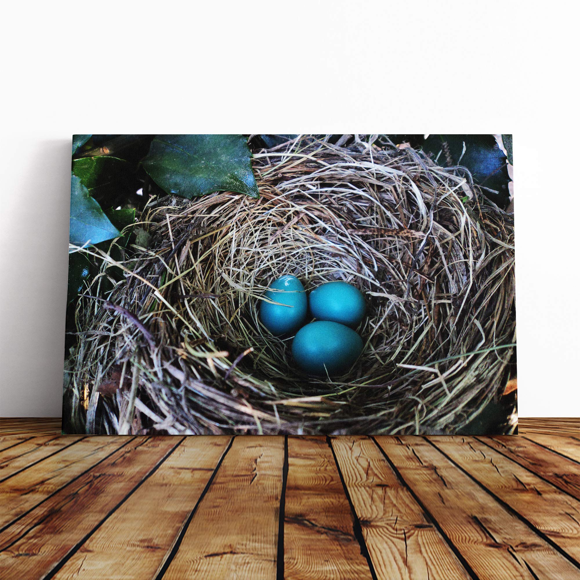 Birds Nest Duck Egg Blue Canvas Print | Gallery Wrapped 30mm Frame Wall Art | 20x14 inches | Ready to Hang | Modern Bird Picture | Living Room Bedroom Lounge Office
