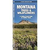 Montana Trees & Wildflowers: A Folding Pocket Guide to Familiar Plants (Wildlife and Nature Identification)