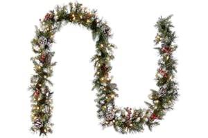 National Tree Company Pre-Lit Artificial Christmas Garland, Green, Frosted Berry, White Lights, Decorated with Pine Cones, Berry Clusters, Plug In, Christmas Collection, 9 Feet