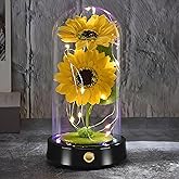 QUELIEN Valentines Day Sunflower Gifts for Her Preserved Sunflower Bouquet in Glass Dome Girasoles para Regalo Valentine Gifts for Women Daughter Mom Wife Girlfriend