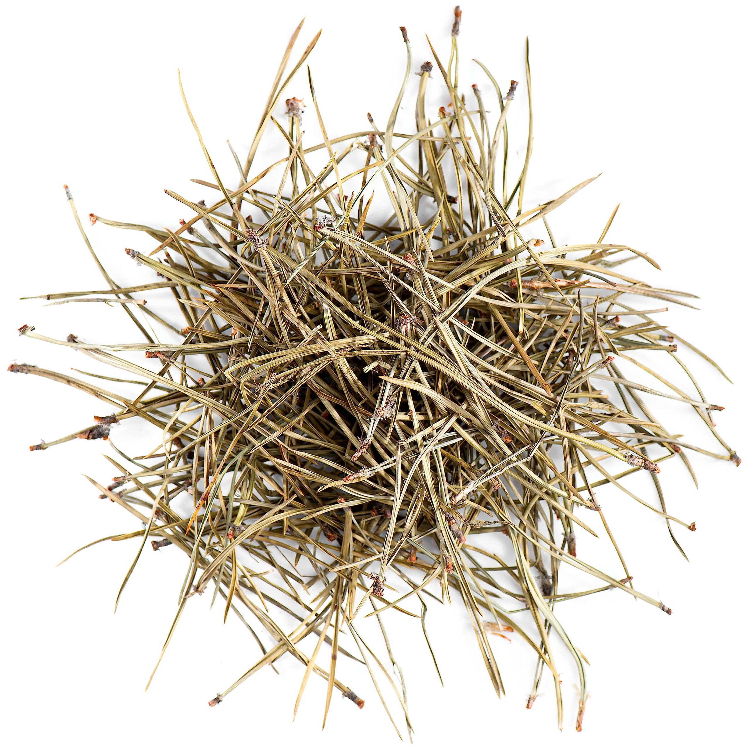 Pine Needle Tea Quality - Pine Sprigs Or Needles - 100g