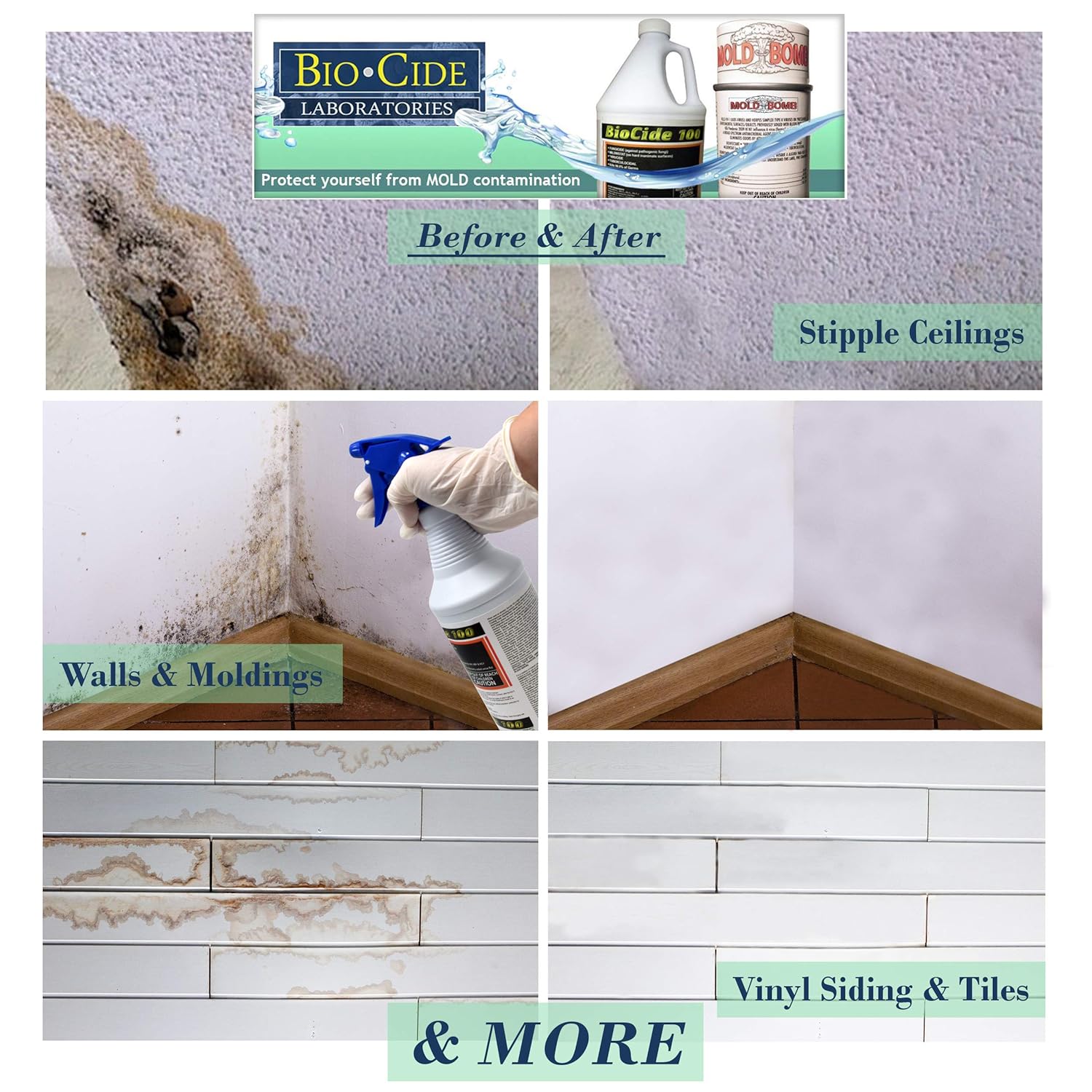 Buy Biocide Mold Bomb Fogger Mold Killer Remover Kill Clean And Prevent Mold Mildew Germs Viruses Fungi And Bacterias Diy Mold Remediation Online At Low Prices In India Amazon In