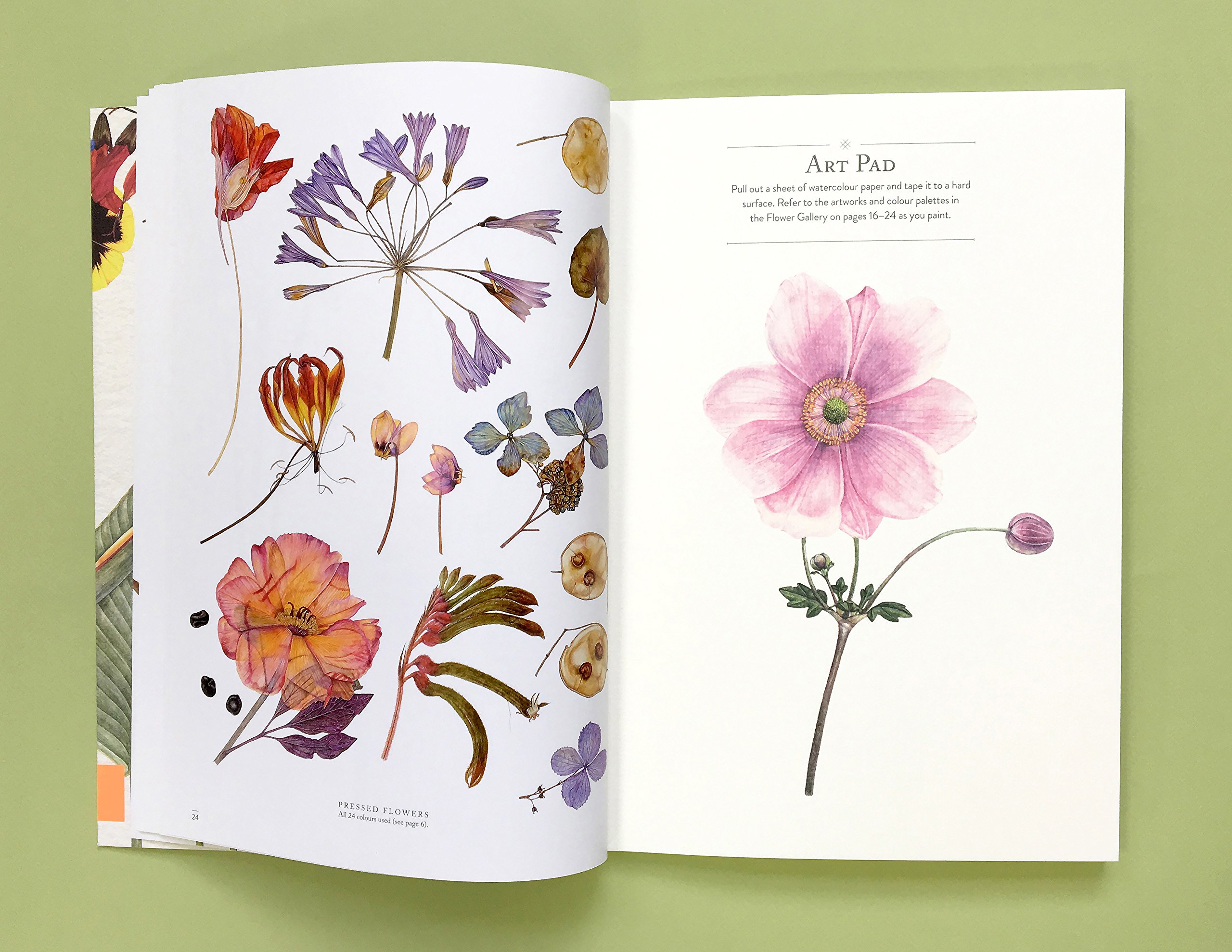 Rhs Flowers The Watercolour Art Pad: Pedder-Smith, Rachel: 9781784723828: Amazon.com: Books