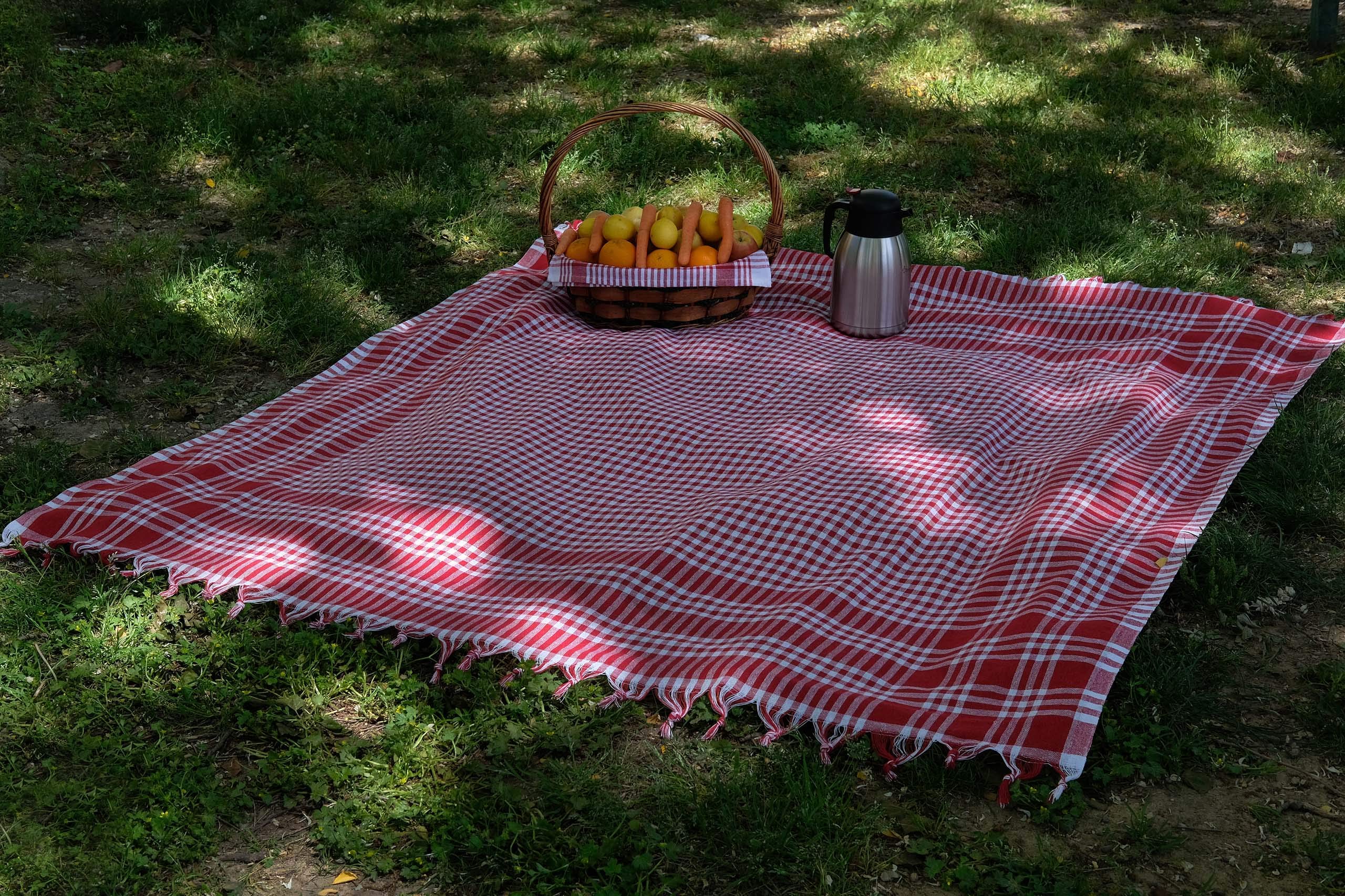 Las 10 mejores ideas e inspiración sobre manteles picnic