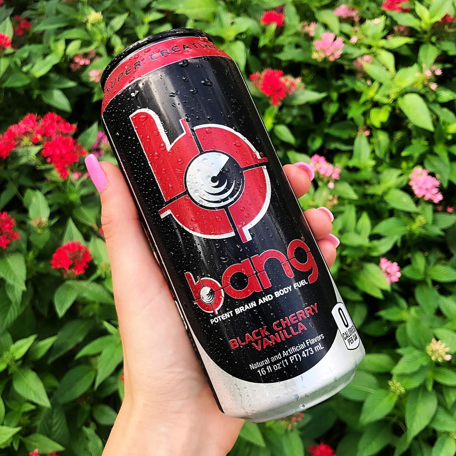 VPX Bang Rtd, Black Cherry Vanilla, 16 Fl. Oz (12 Count) : Grocery & Gourmet Food