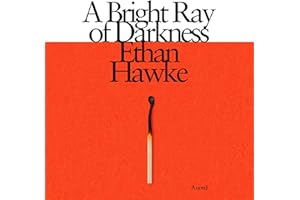 A Bright Ray of Darkness: A Novel