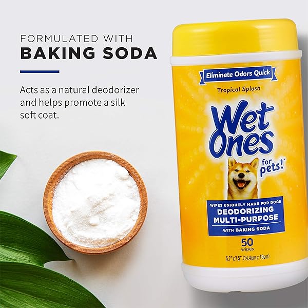 WET ONES FOR PETS DEODORIZING MULTIPURPOSE DOG WIPES WITH BAKING SODA, TROPICAL SPLASH SCENT – DESMELLIZING WIPES FOR DOGS IN CANISTER, 50 COUNT