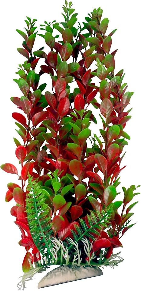 Amazon Com Green Burgundy Aquarium Plant With Base 12 Inch