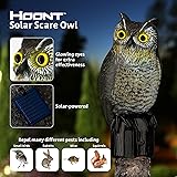 Hoont Realistic Owl Scarecrow with Flashing Eyes and Frightening Sound &ndash; Solar Powered and Motion Activated - Frightens Birds and Pests Out of Your Property