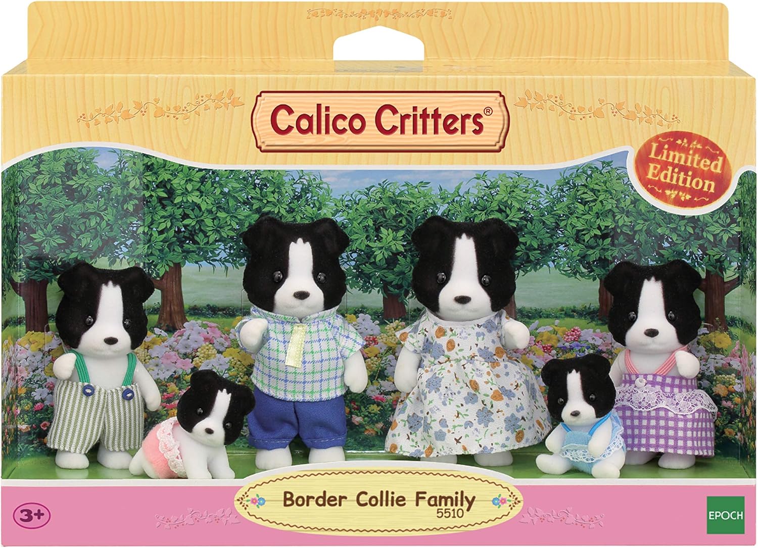 calico border collie