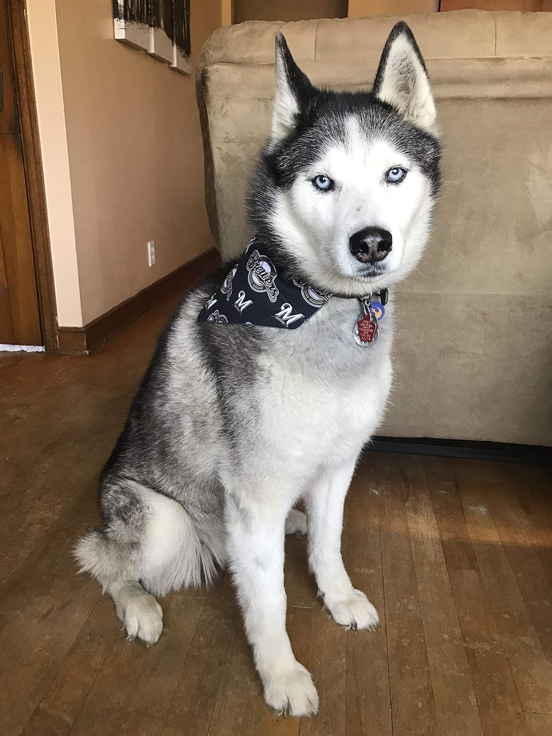 brewers dog bandana