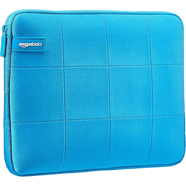 11.6 laptop case amazon