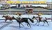 Horse Derby Quest 2020