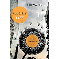 Fungible Life: Experiment in the Asian City of Life book cover
