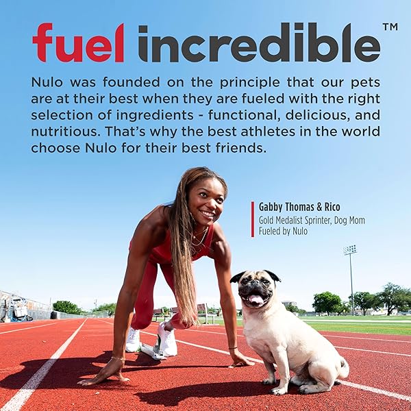 NULO FUNCTIONAL GRANOLA BARS, HEALTHY DOG TREATS, OVEN BAKED, MADE WITH PREBIOTICS AND PROBIOTICS, CONTAINS NO ADDED SALT, SUGAR, OR MOLASSES, 10 OUNCE BAG